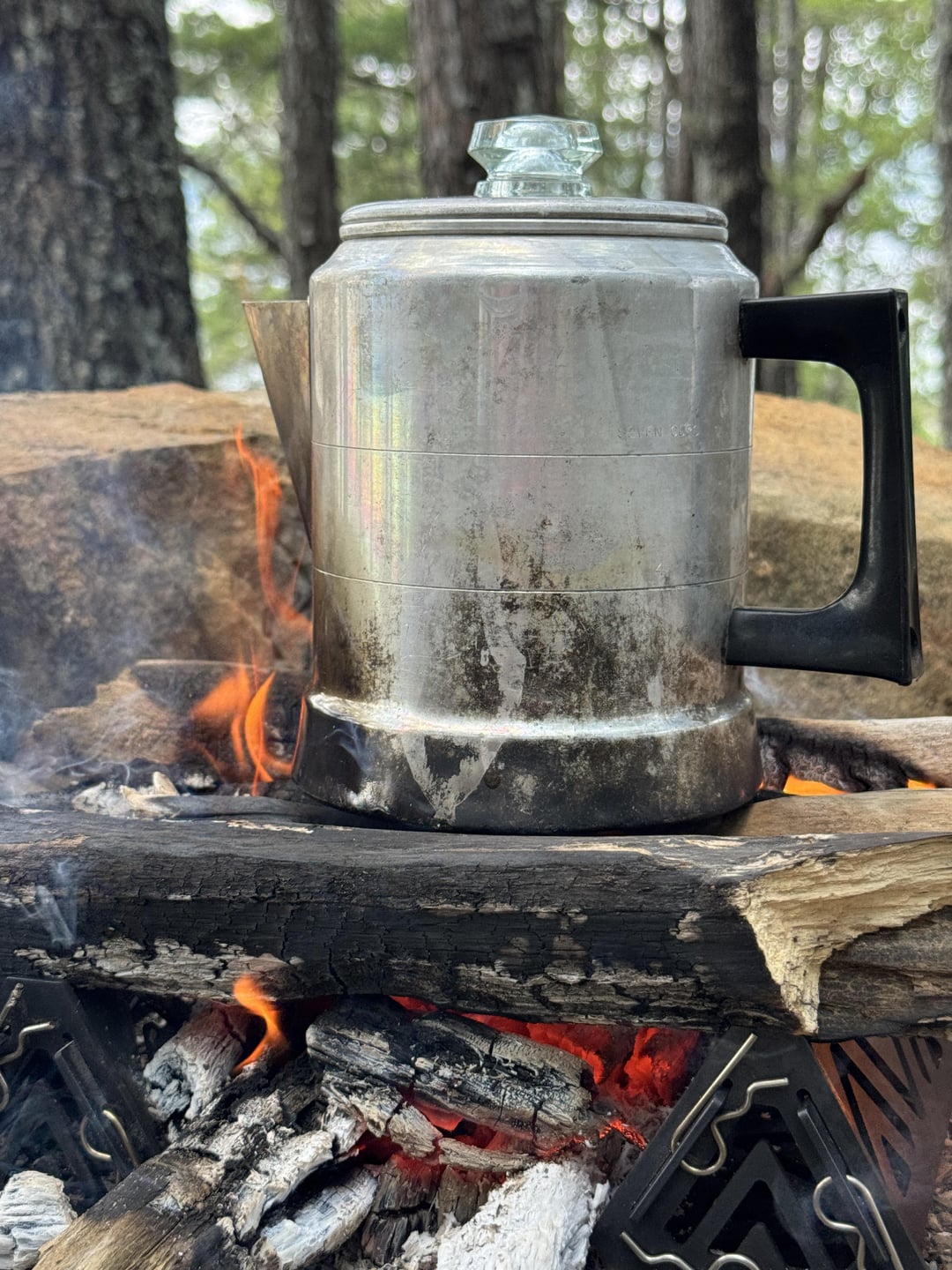 CampfireCooking