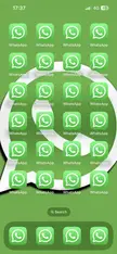 WhatsApp 👍🏻