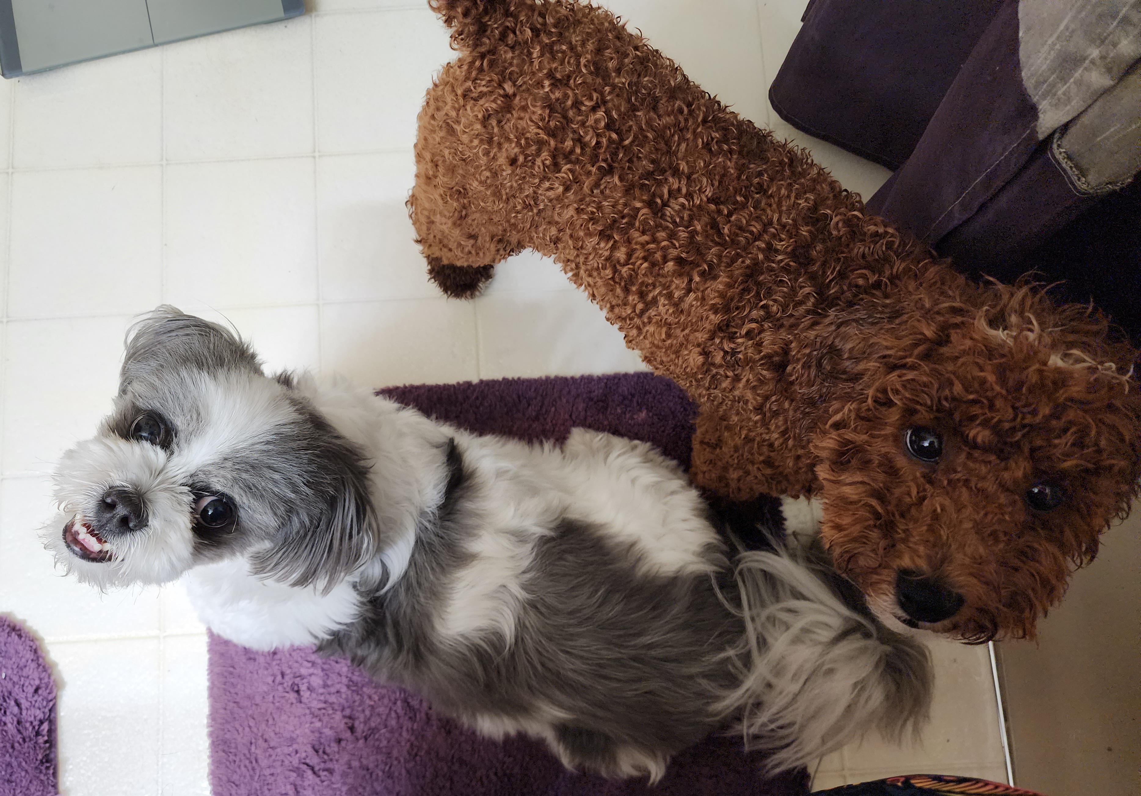 Who else experiences this scene when you just want to use the restroom 😂😂 game play and you become the base or they just stare at you