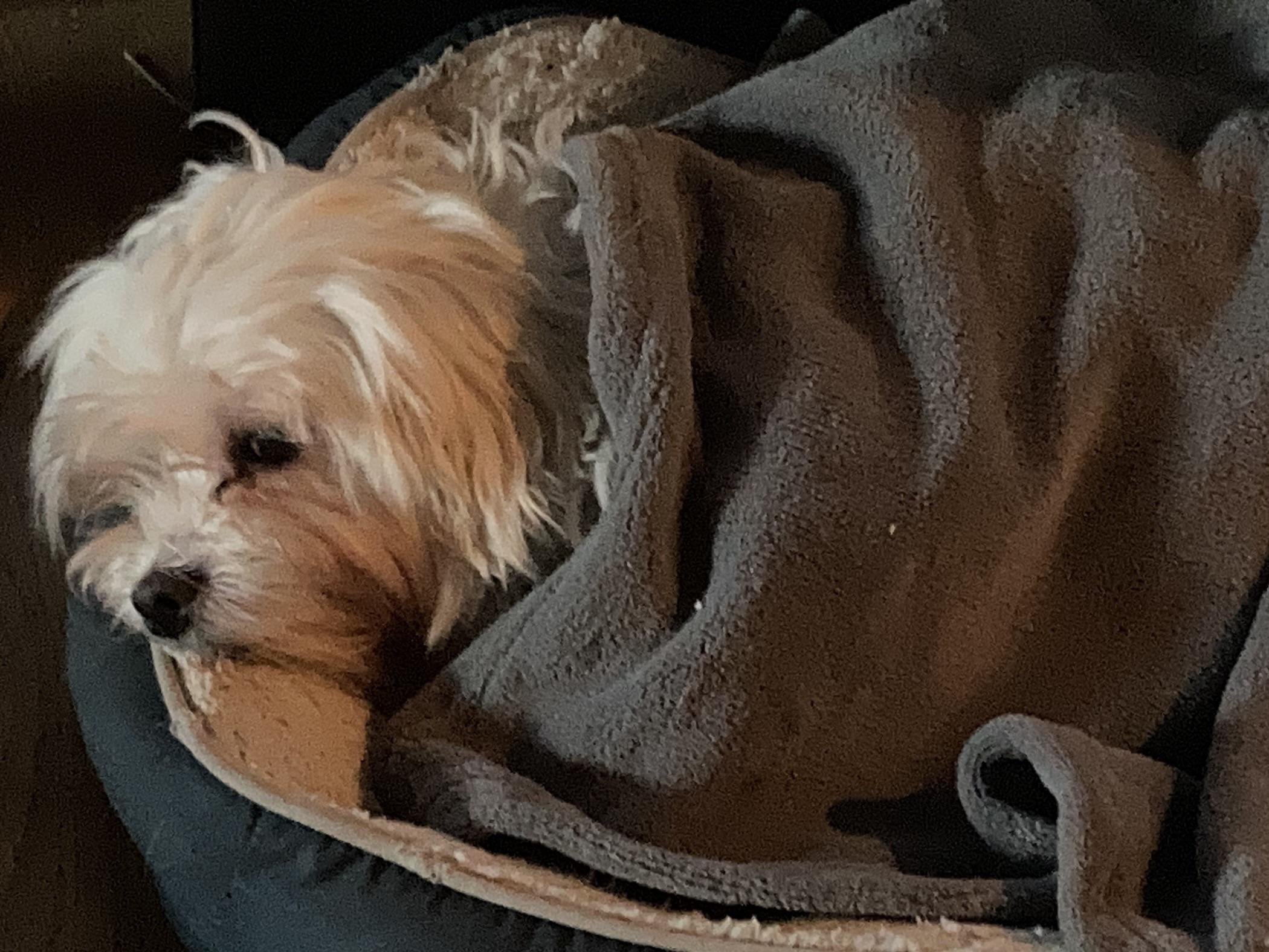 My little old man tucked in!