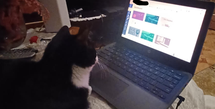 Was doing my homework and left to use the bathroom... came back to this