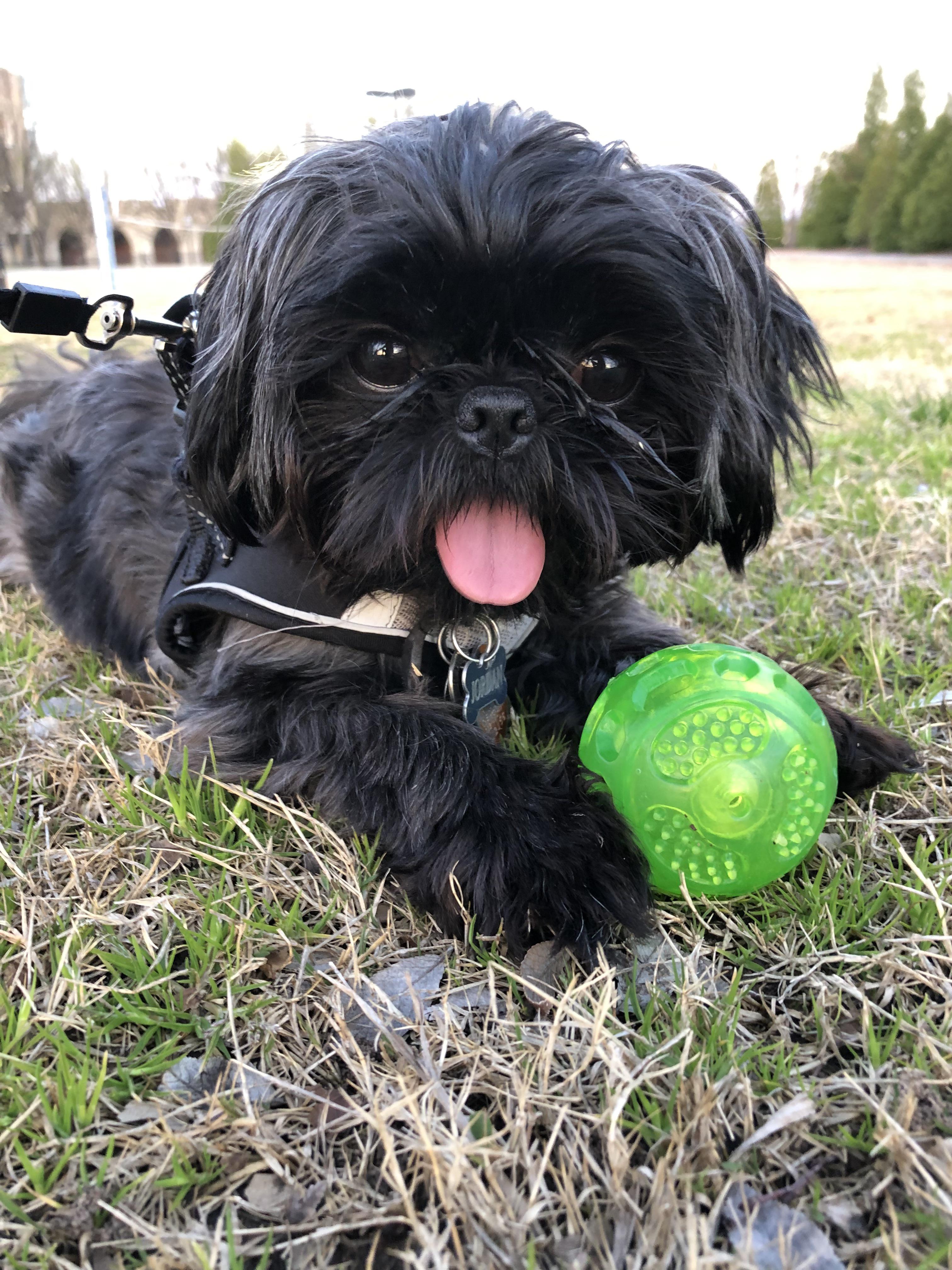 Jordan as a puppy🐶