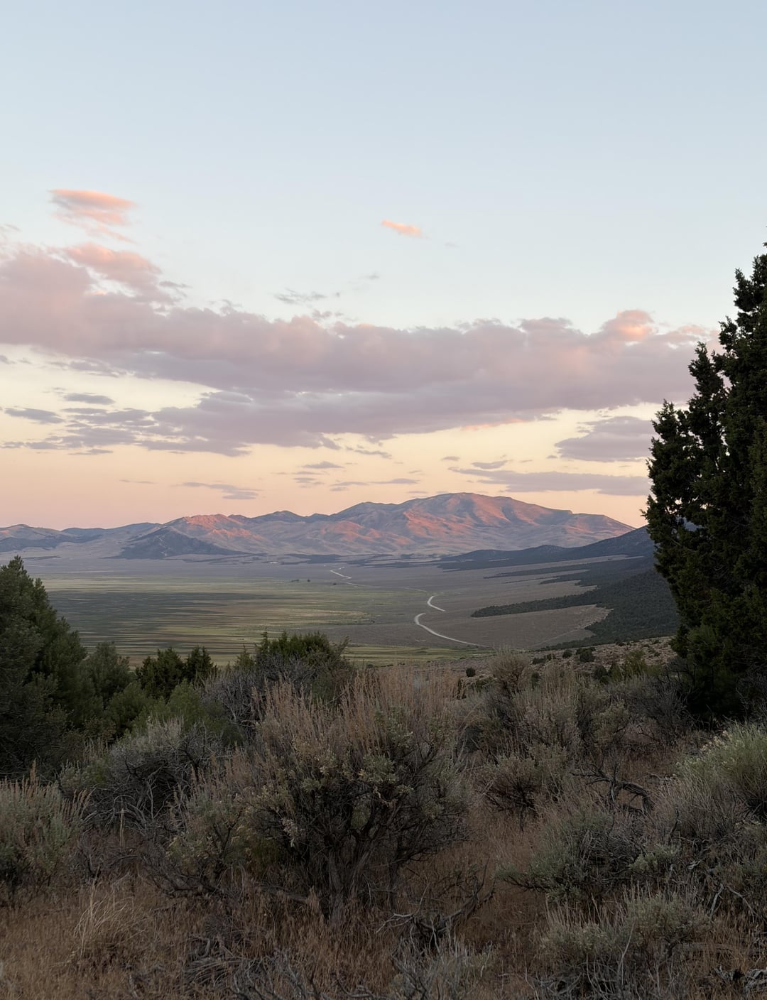 NevadaNature