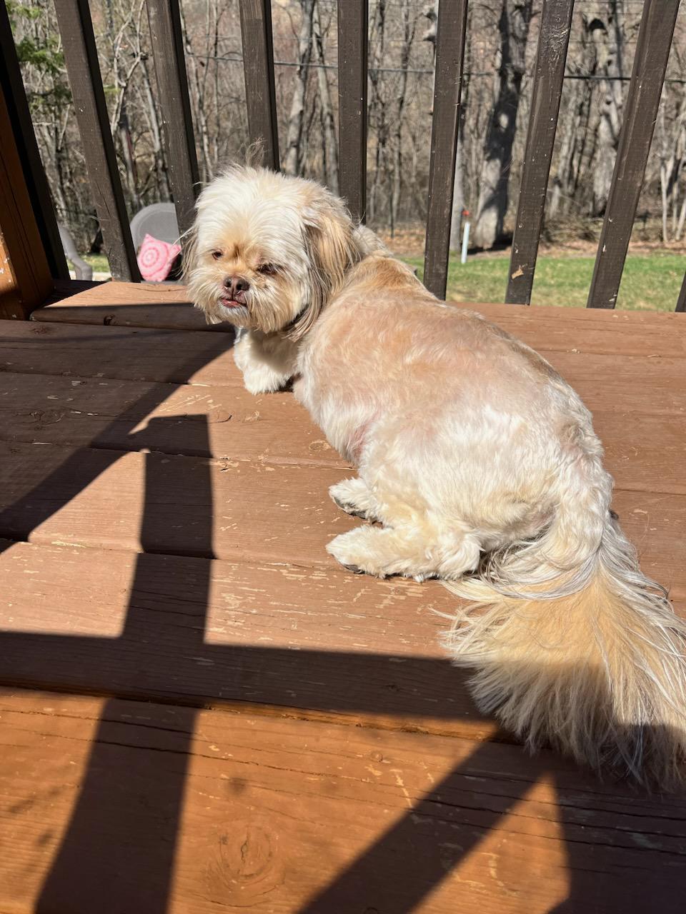Sun Soaked Tzu