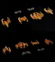 I made 3d versions of a few more FTL ships, this time from the Rebellion!