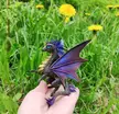 Shinning dragon.