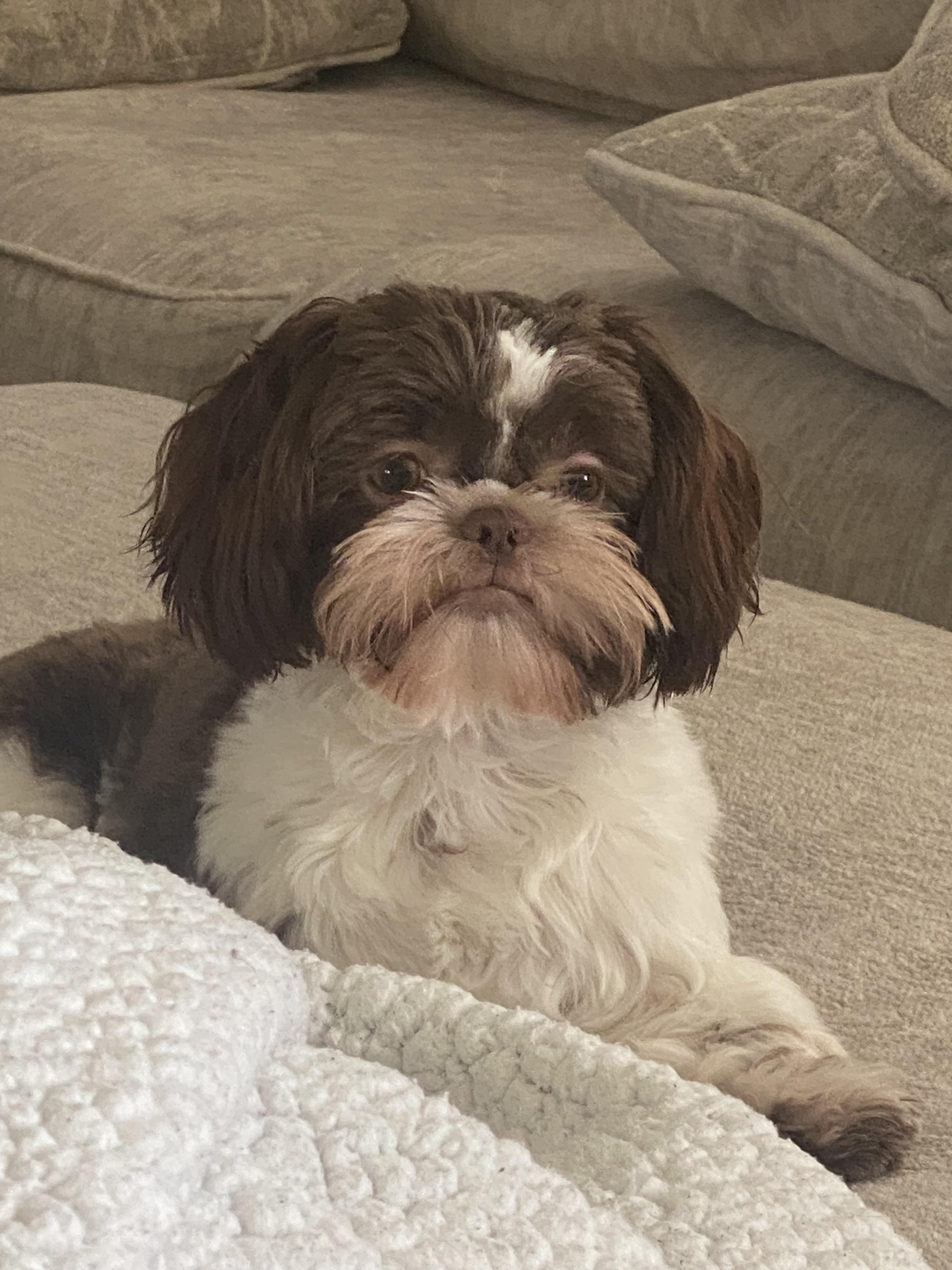 Baby girl looking so fresh and clean with her new cut 💕 Love you mama!