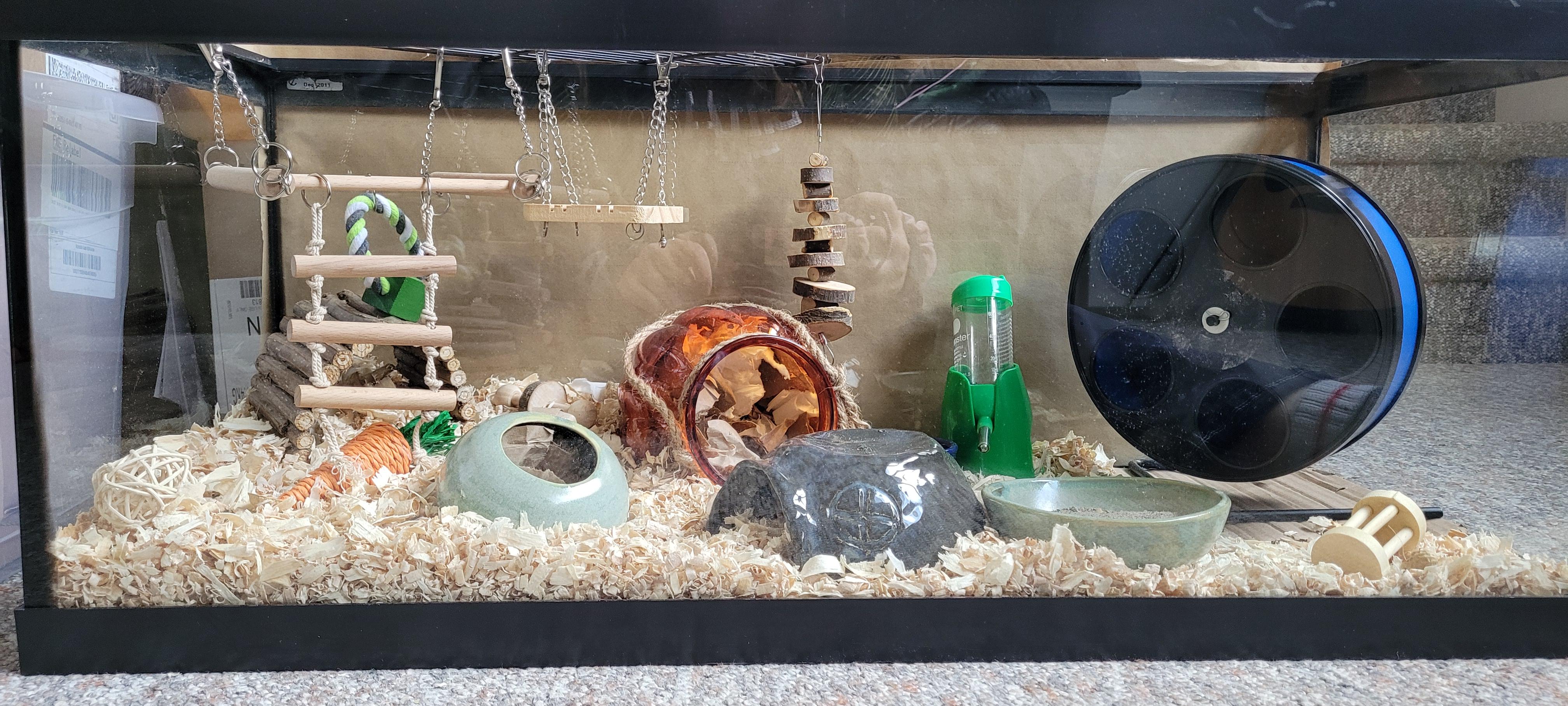 Pet mouse enclosure. This is what i have so far, im getting mice in a weekish. Any improvements needed?