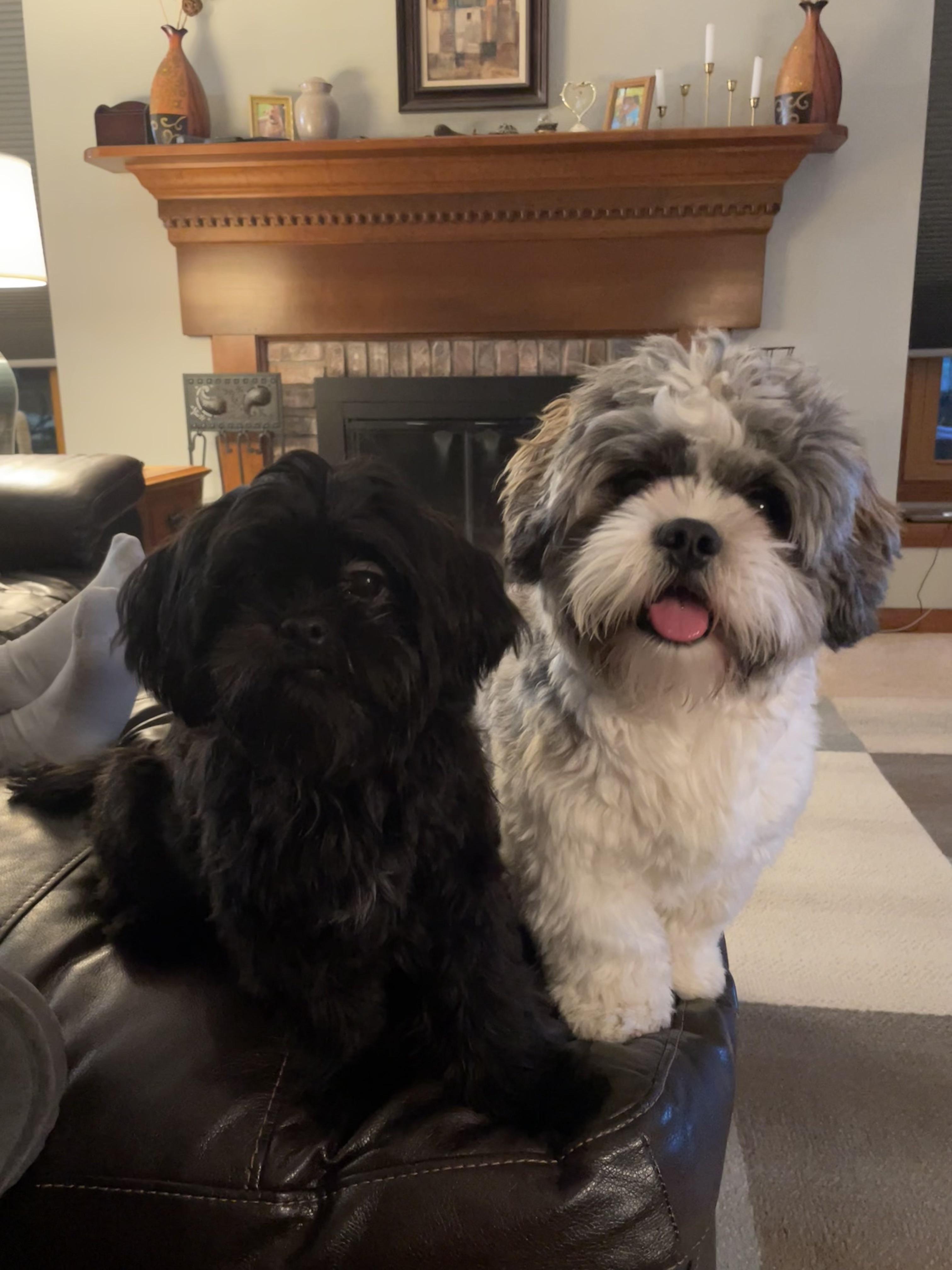 Reggie &amp; Coal 🩷