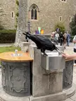 Raven drinking from a water fountain at the Tower of London