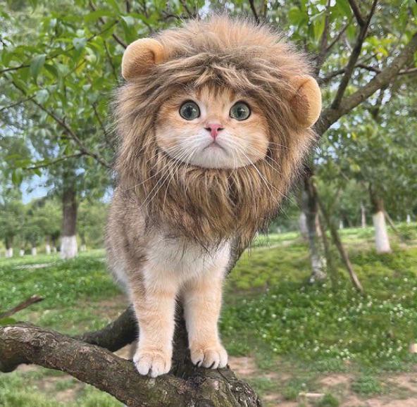 Does he scare you?