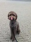 Caught him at the right moment