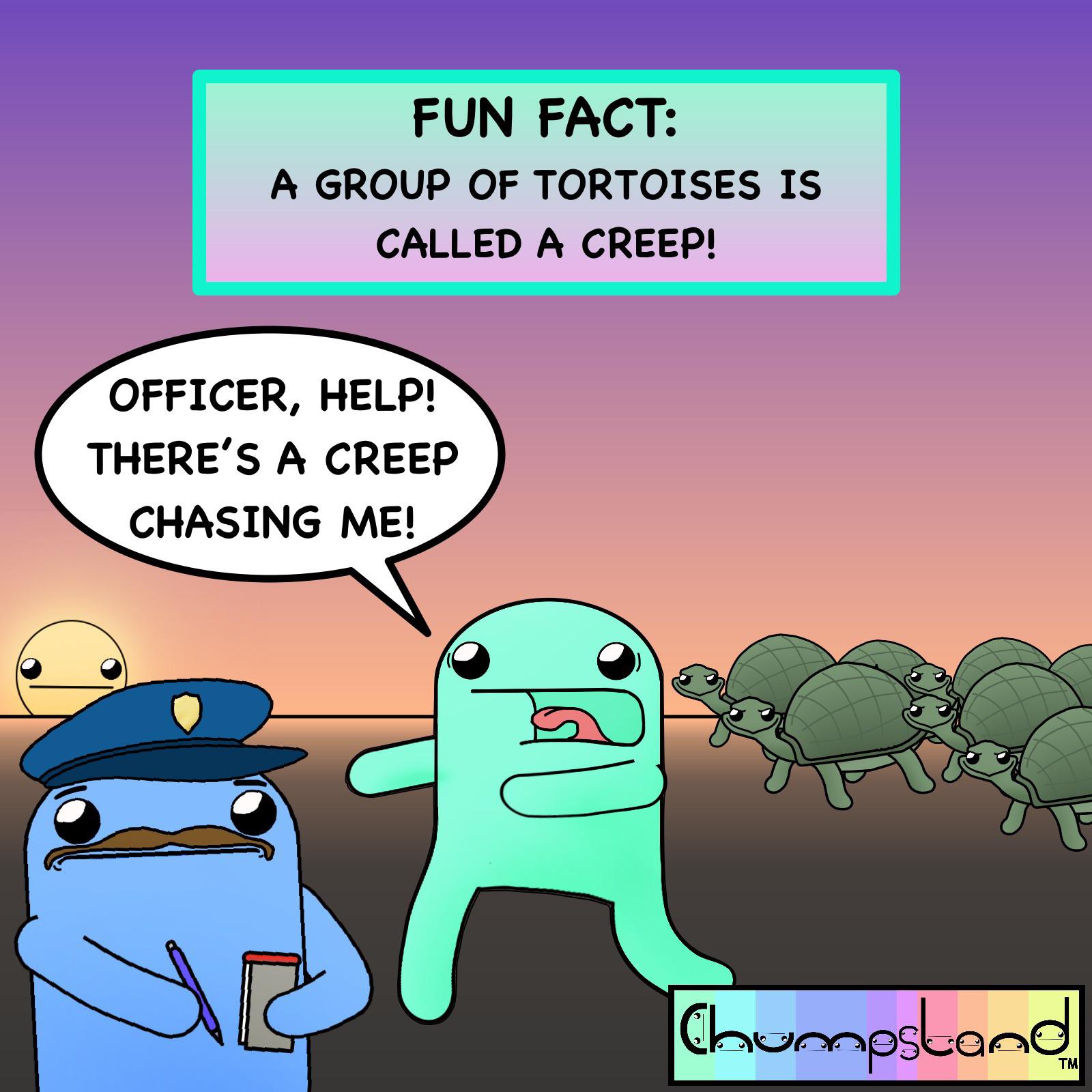 A Fun Fact About Tortoises [OC] | Scrolller