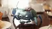 "Crab bot: He'll take good care of your plants" by Rachel Frick
