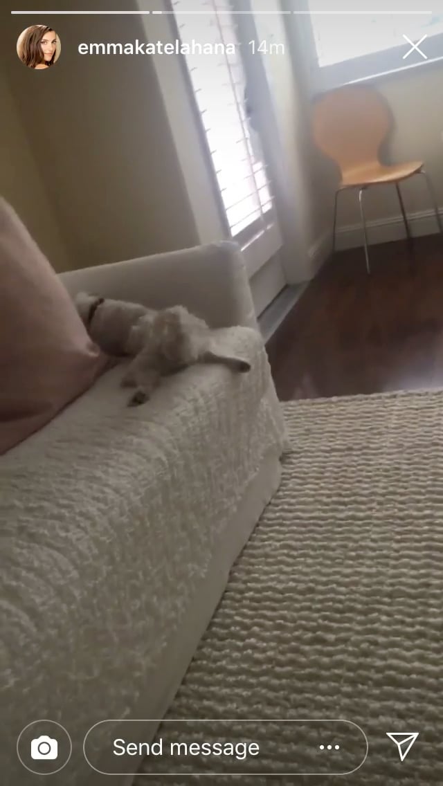 Emma’s cute Pooch