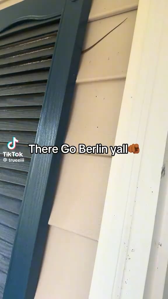 Why Berlin in his vent…?