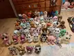 my beanie boo collection