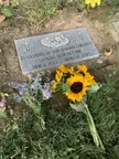 First time death has hit me so personally. Our baby Shiloh would have been born today. Visited and left some forget-me-nots.