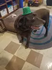 He's worried that he can't celebrate at the pub and no one will see his hat