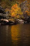 Autumn Reflections - Fjord Norway [OC]