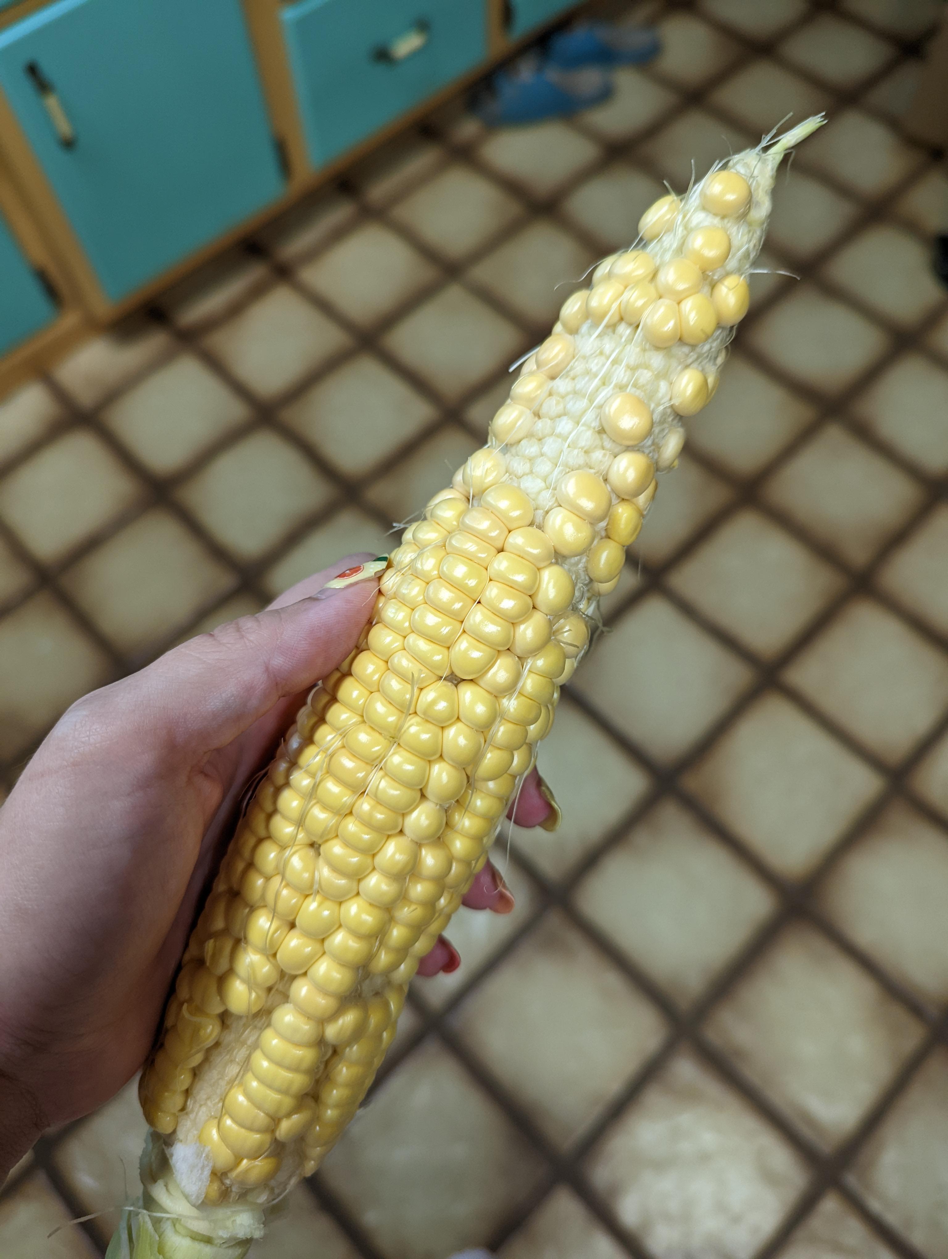 Skimping on portion sizes due to inflation is getting ridiculous ...