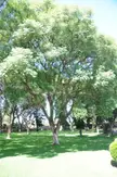 Parliament Gardens, Windhoek, Namibia - OC