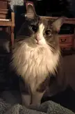 Look at my winter coat.