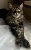 Just a gorgeous boy