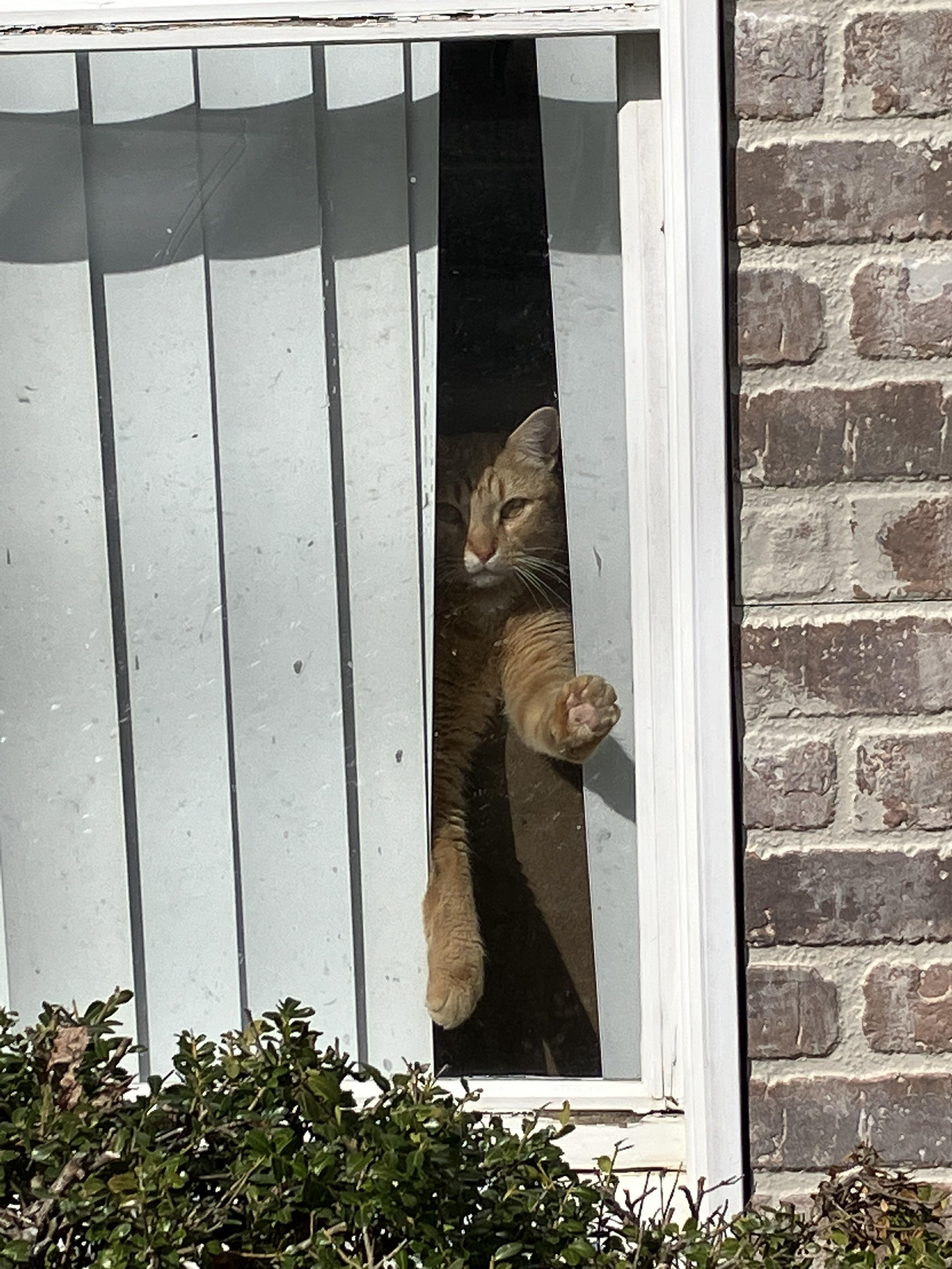 First thing I see when I come home from work [OC]