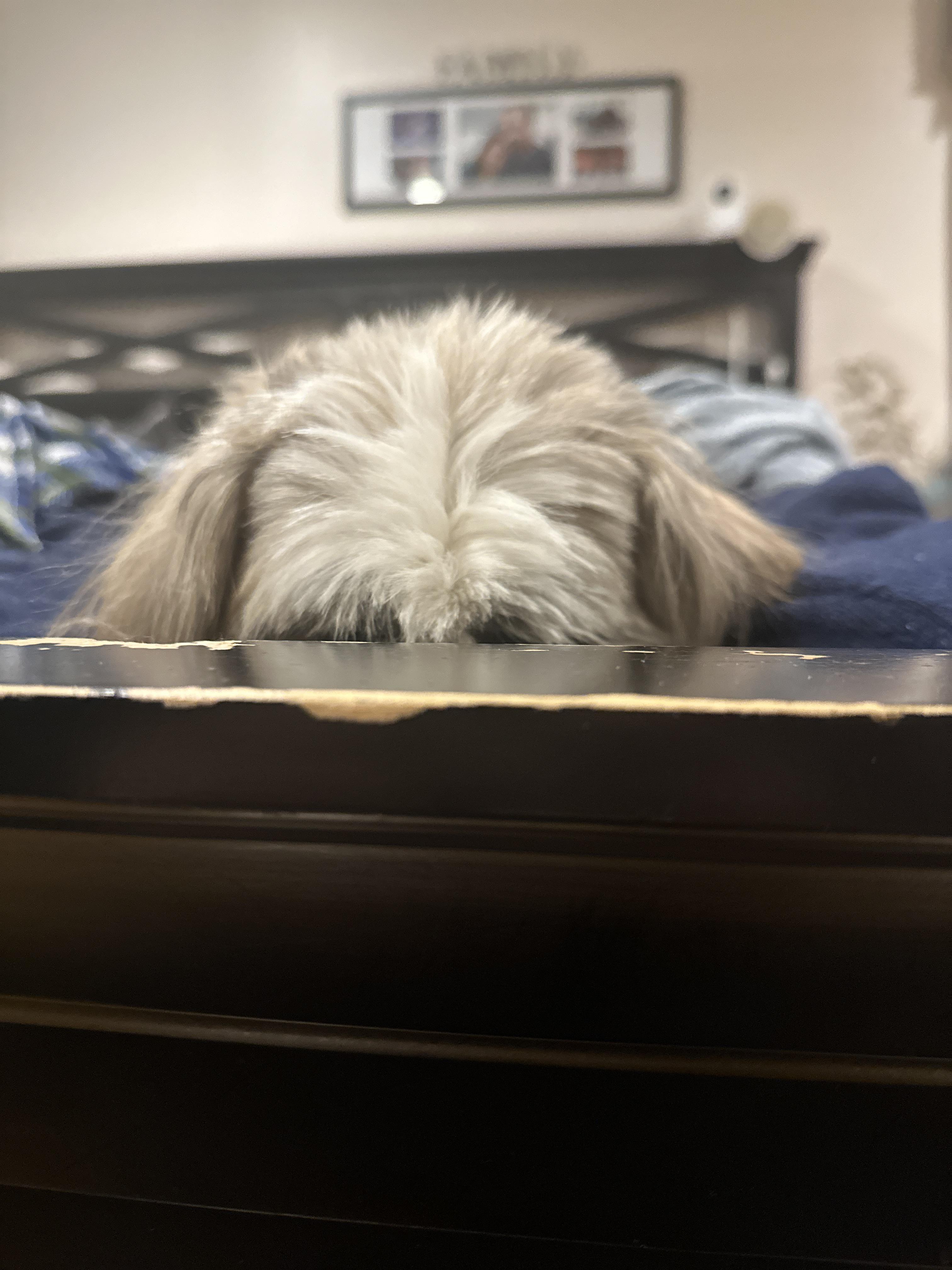 Please don’t find me. Please don’t find me. Please don’t find me.