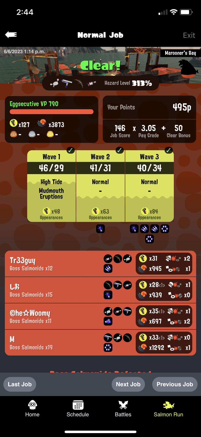 Salmon Run game statistics showing a job summary and player profile card with a character avatar