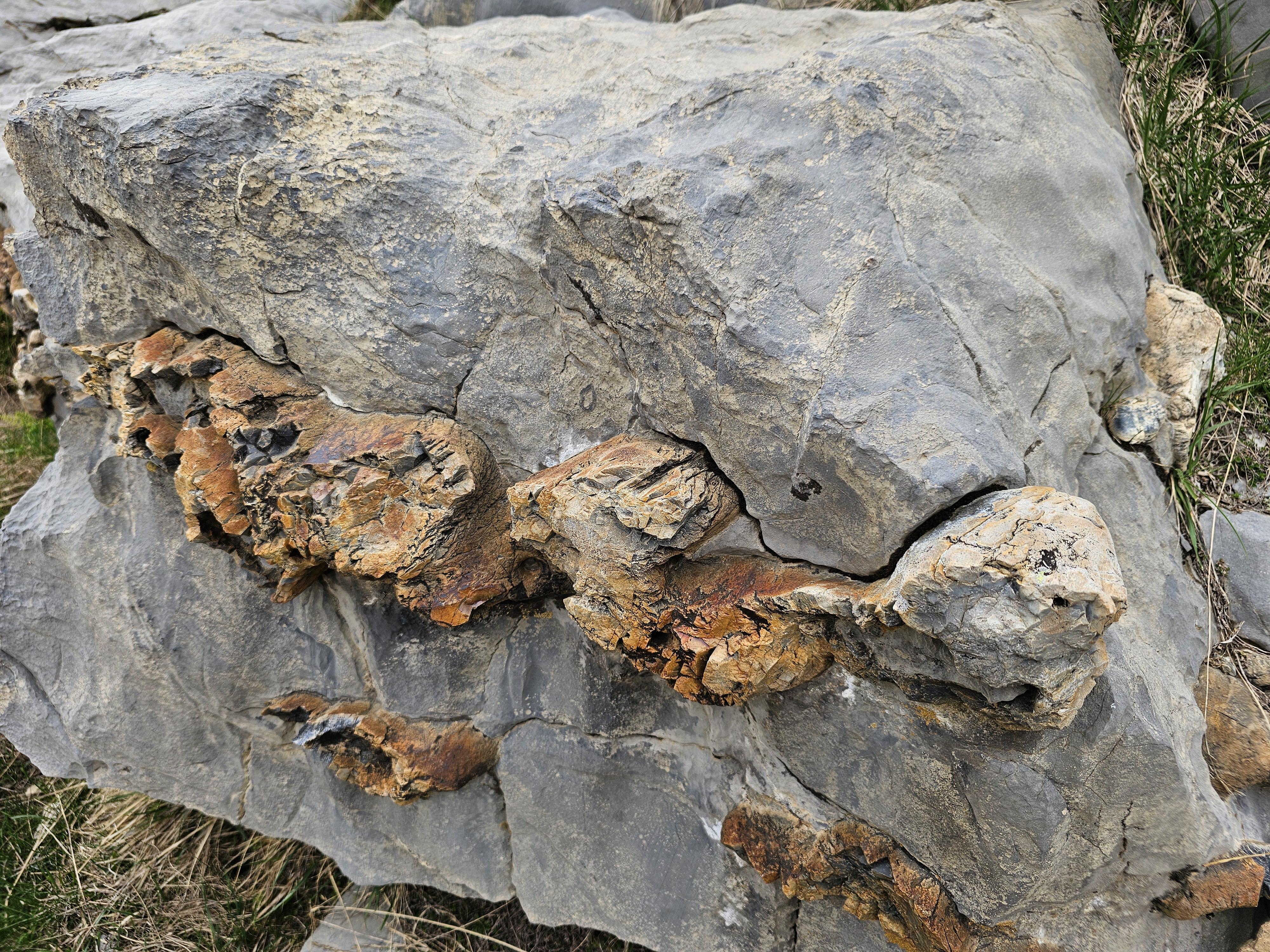 Scrolller Rocks What are these bulging rocks that seem to