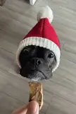 Big head energy coming from this elf.