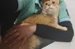 When you get home from work