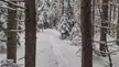 hiking
