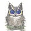 I drew an angry, fat lil owl with the universe in its eyes! Let me know what you think :D