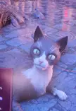 [No DAV Spoilers] What are they feeding the cats in Minrathous? 