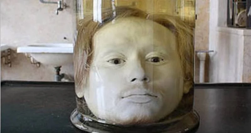 Diego Alves is a famous portugese serial killer . After getting executed Scientists at the time wanted to study Alves head, to determine the origin of his murderous nature. For this reason, they had his head removed from his dead body and preserved in a jar for study where it has remained ever since