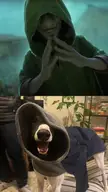 A funny Greyhound dog wearing a grey hoodie compared to a 3D animated character in a green hooded cloak.