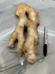 Massive ginger from Publix