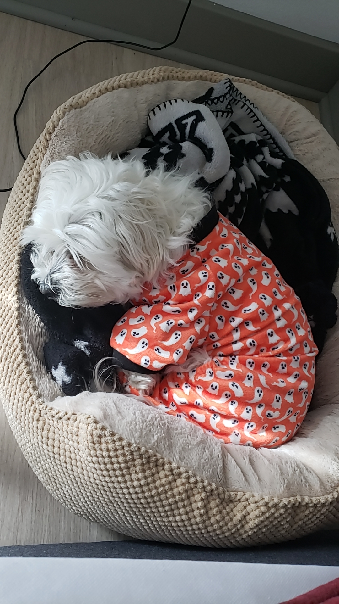 On cold days he wears his spooky PJs