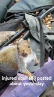 Do you think he'll be ok?