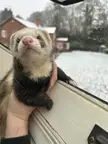 Baby it’s cold outside
