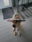 Farmer SlimJim says Hi!