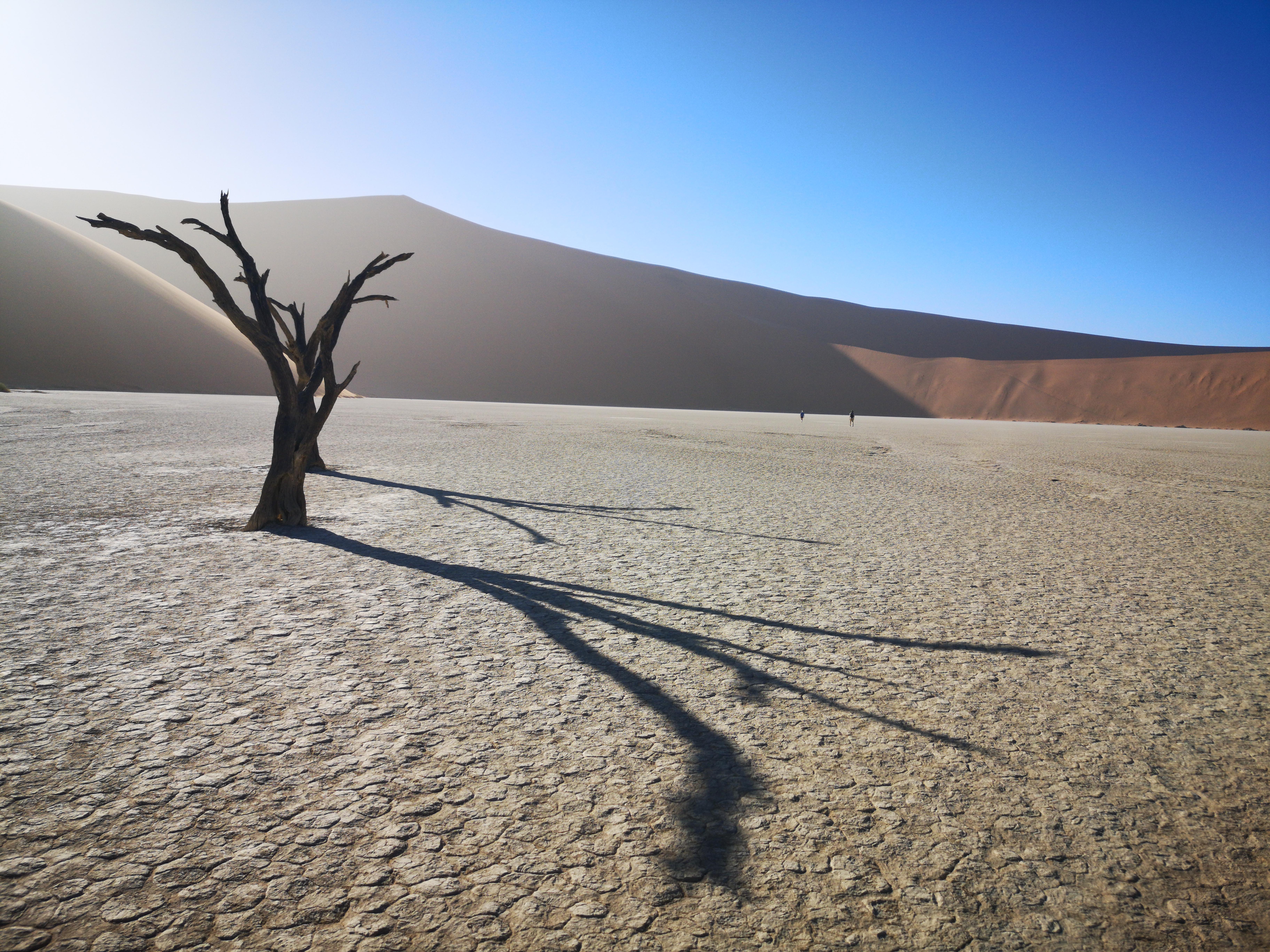 I love desert landscapes. This one is probably my favourite.