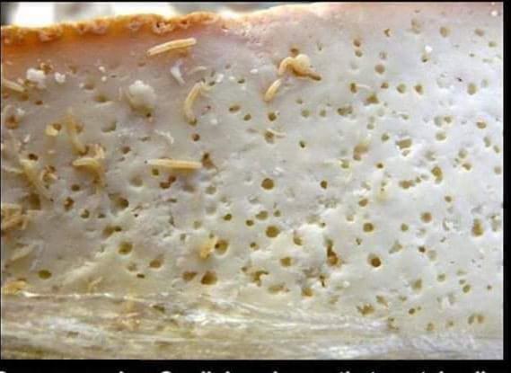 Casu marzu is a Sardinian cheese that contains live maggots. The maggots can jump up to five inches out of cheese while you're eating it, so it's a good idea to shield it with your hand to stop them jumping into your eyes.