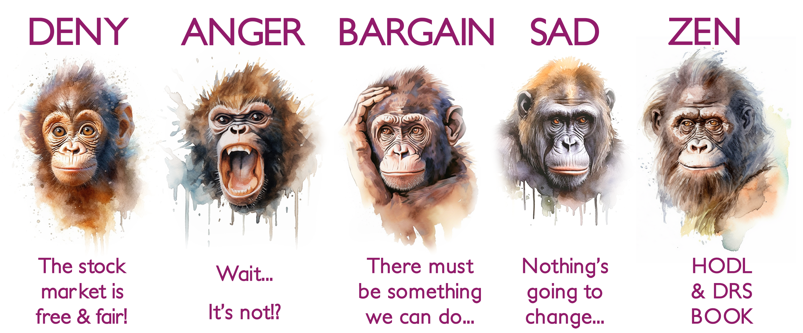 5 Steps To A 5 Apes