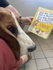 Absolute(ly true)slander at the vet 🙄