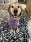 Sweetest Bathrobe Smiles 🧼🛁