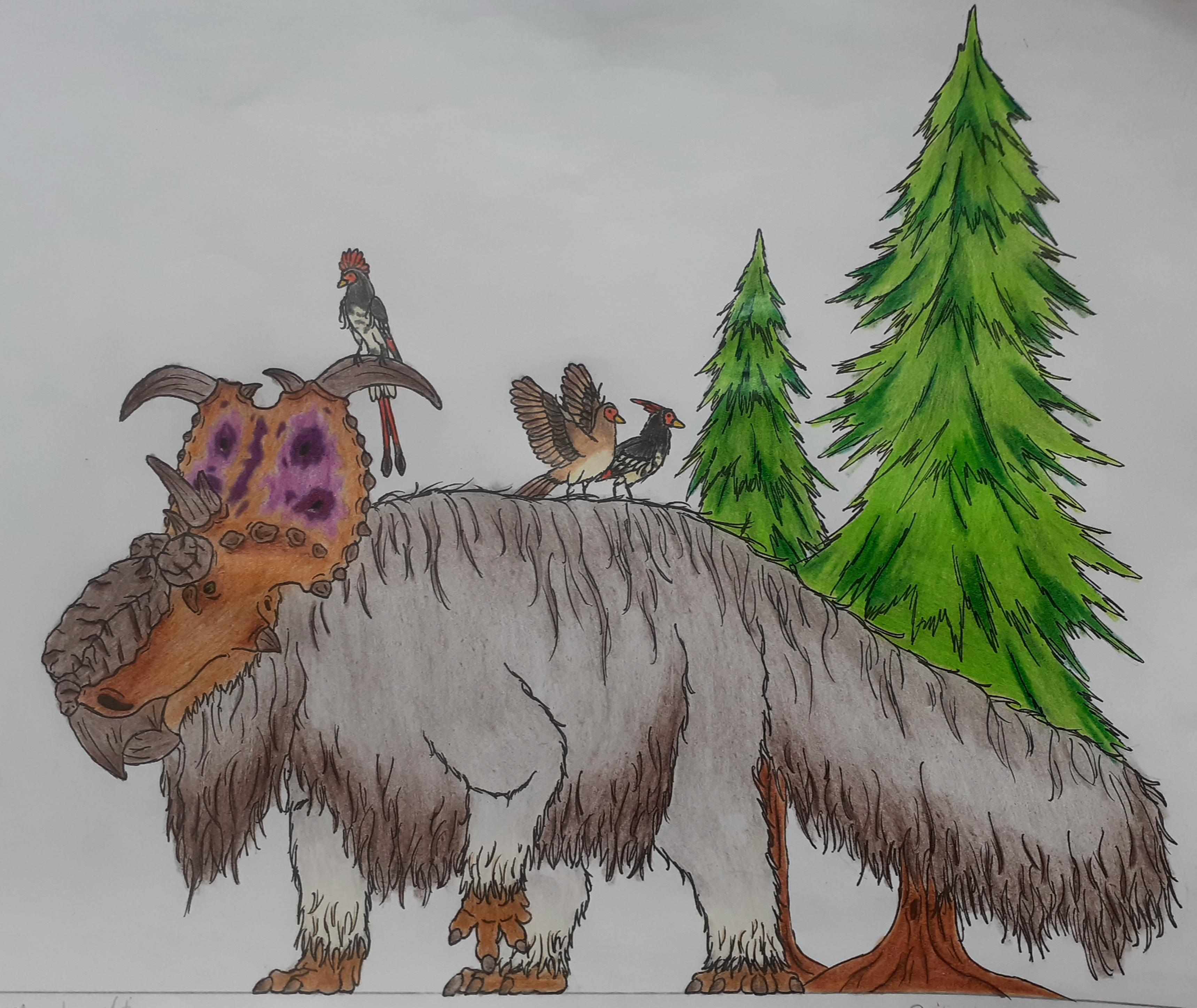 A woolly Pachyrhinosaurus!